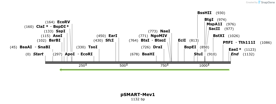 123348_map