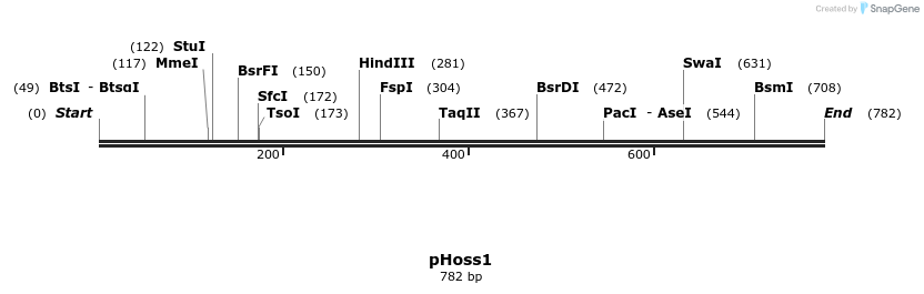123349_map