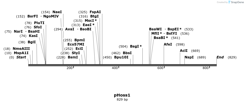 123350_map