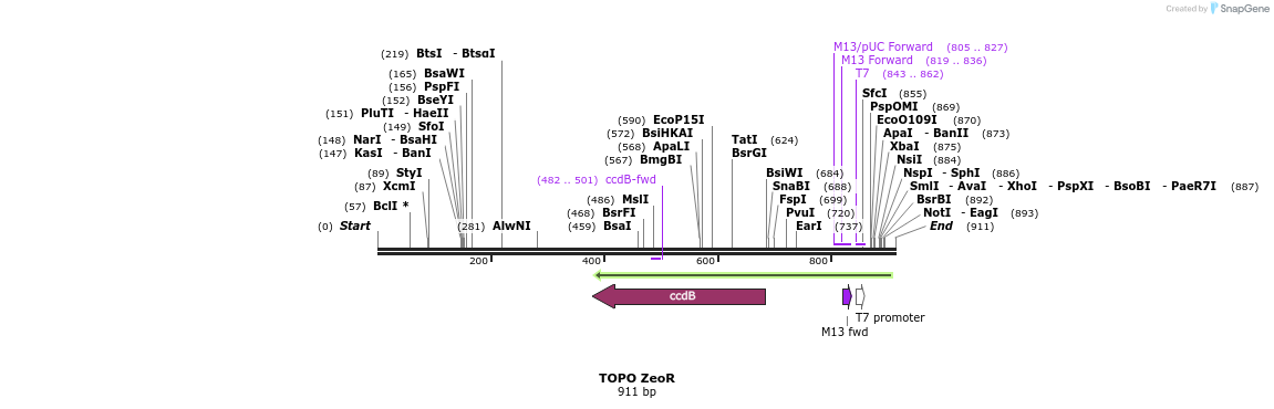 123451_map