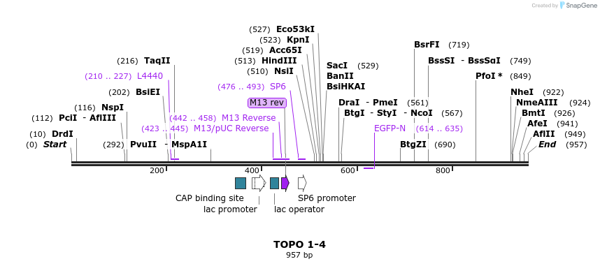123452_map