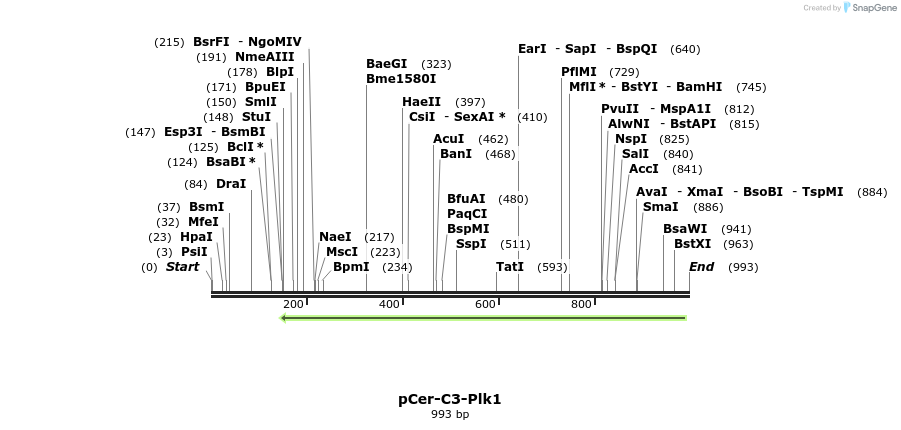 123471_map