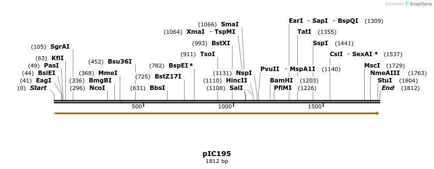 123476_map
