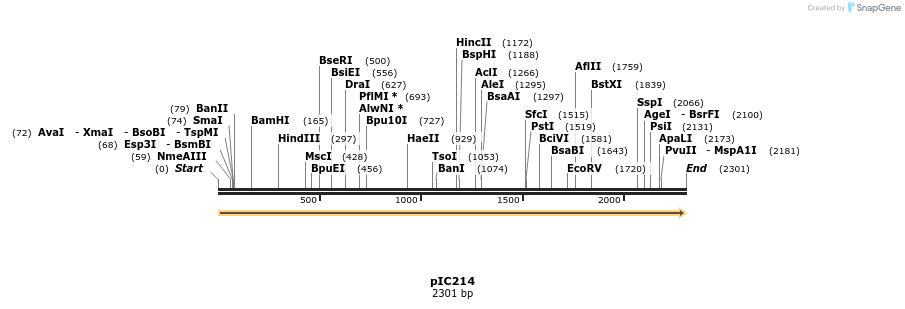 123481_map