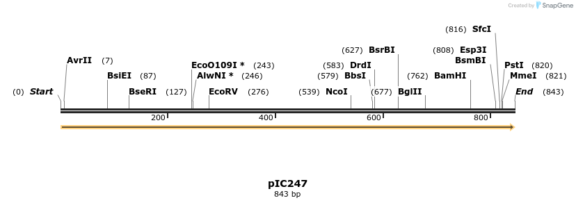 123487_map