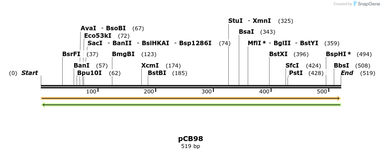 123490_map