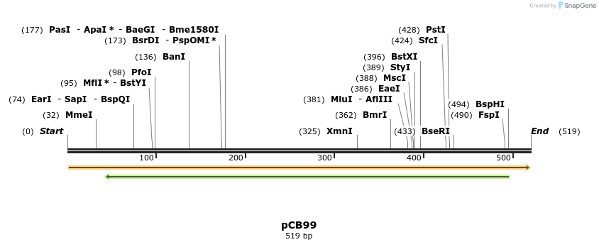 123491_map
