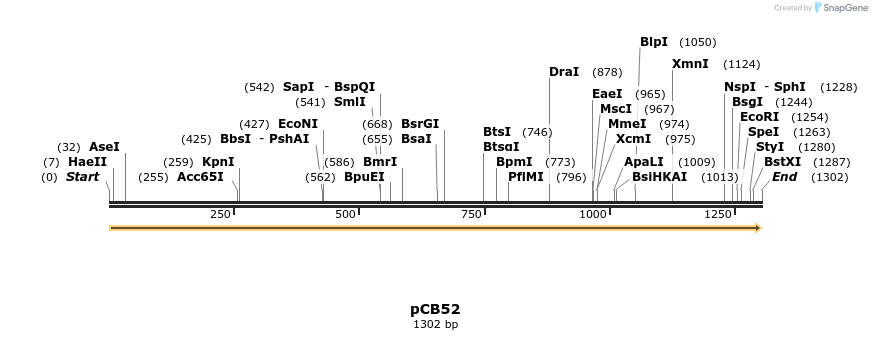 123493_map