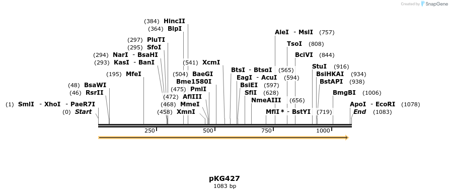 123498_map
