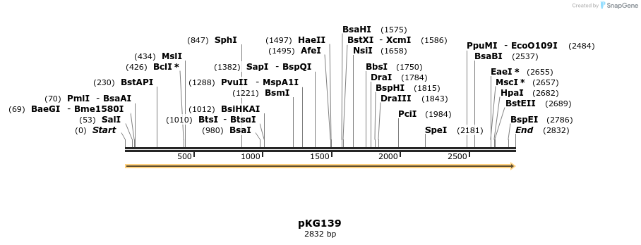 123499_map