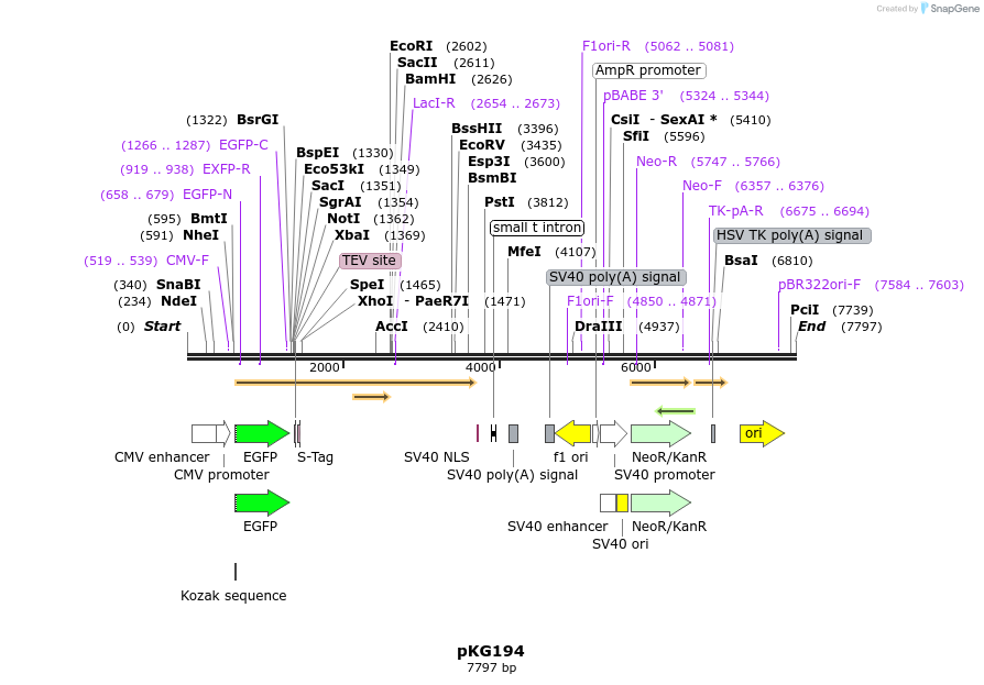 123500_map