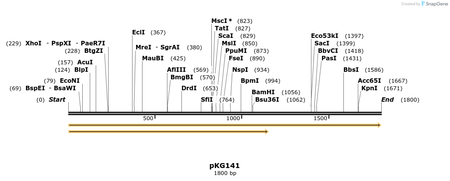 123501_map