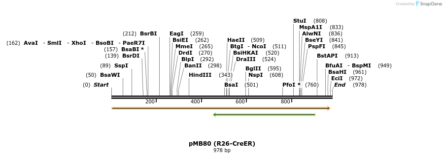 123503_map