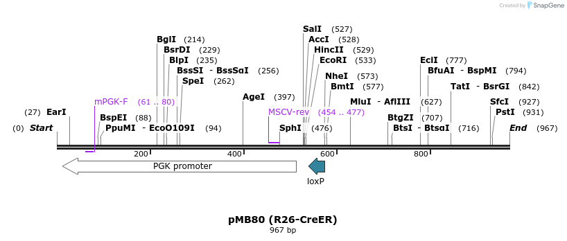123504_map