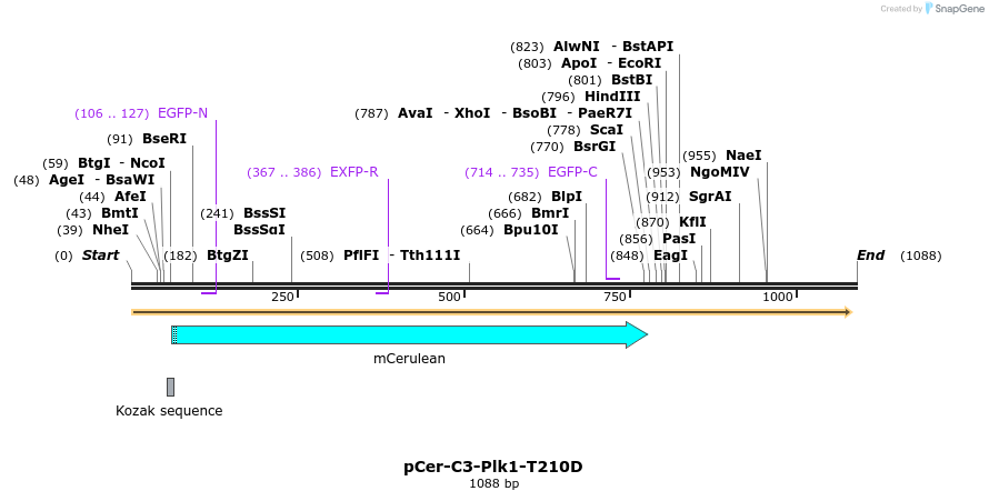 123508_map