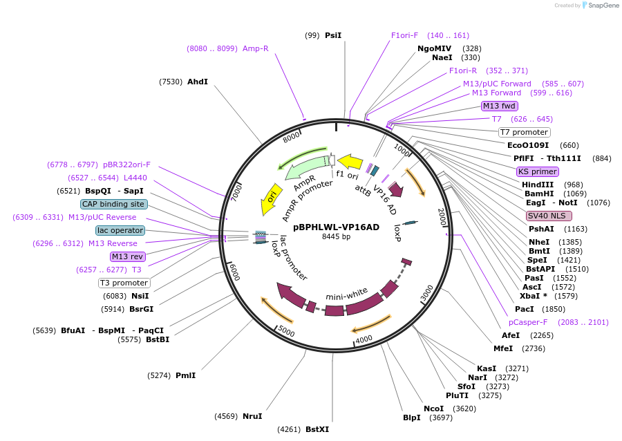 12351_map