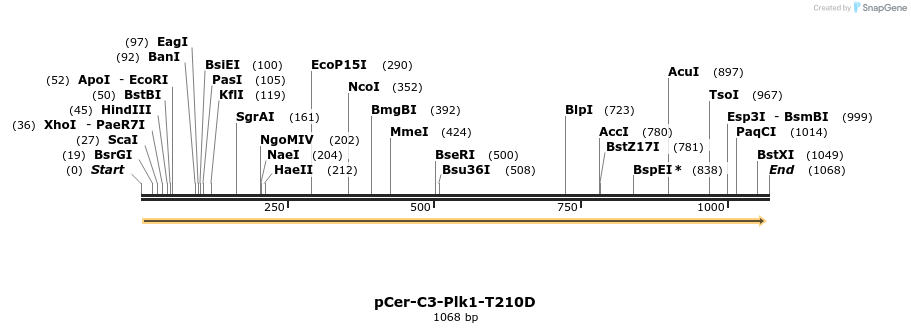 123510_map