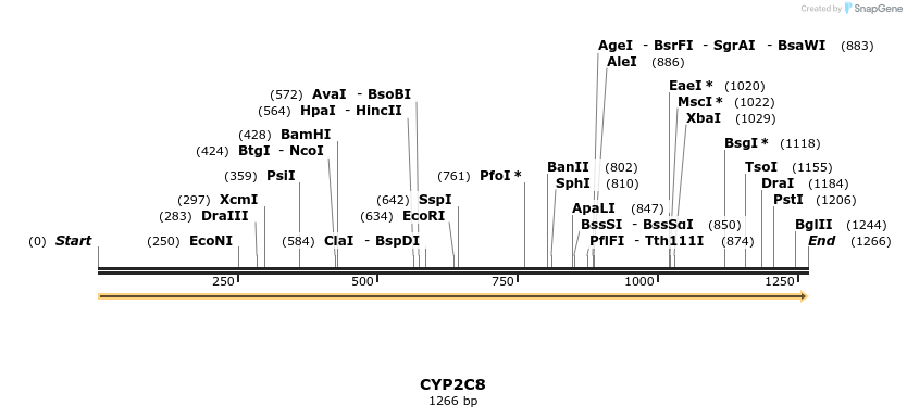 123517_map