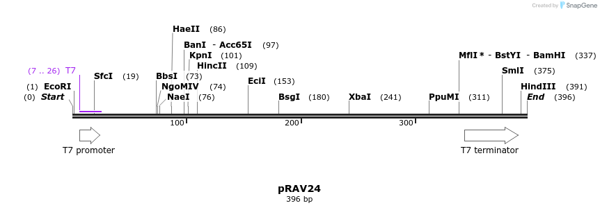 123519_map