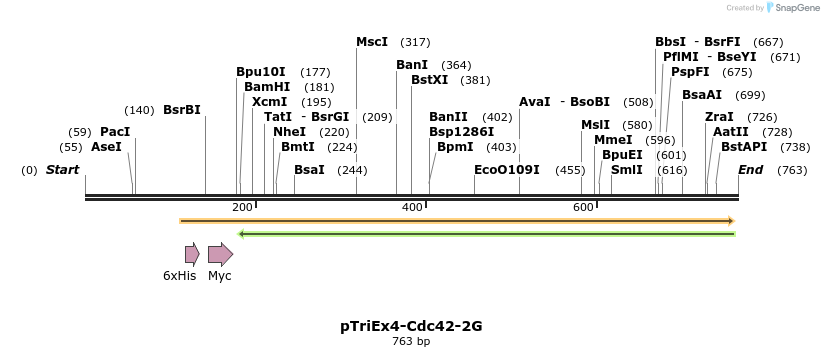 123520_map