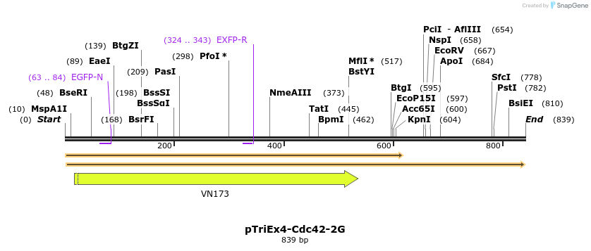 123521_map