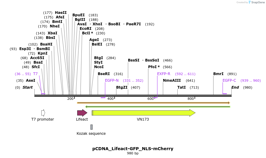 123522_map