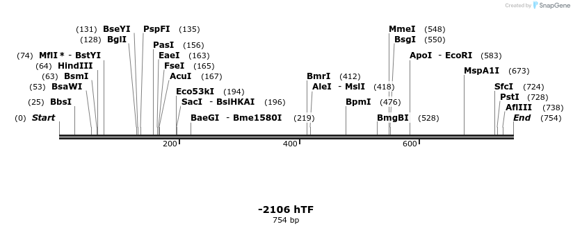 123529_map
