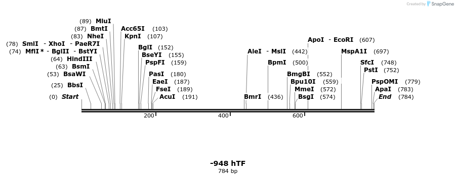 123530_map