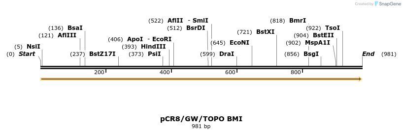 123534_map
