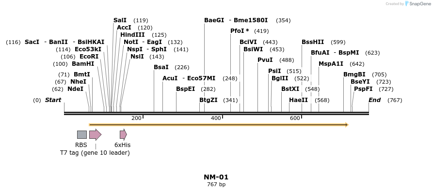 123537_map