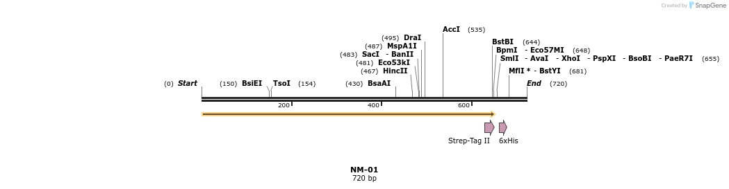 123538_map