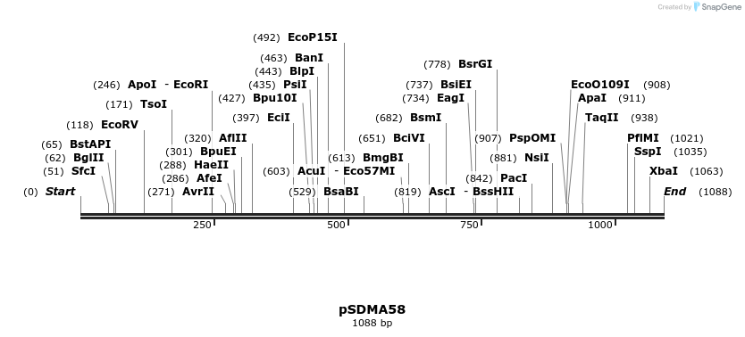 123544_map