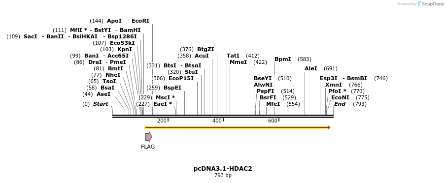 123546_map