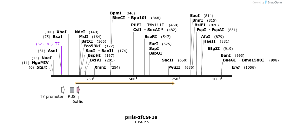 123550_map