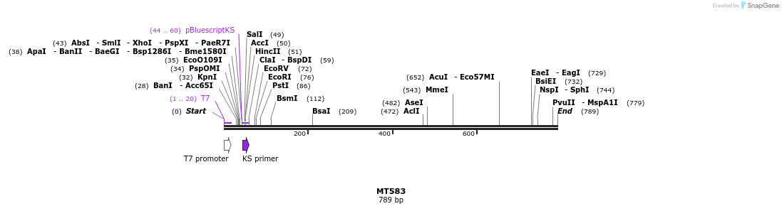 123556_map