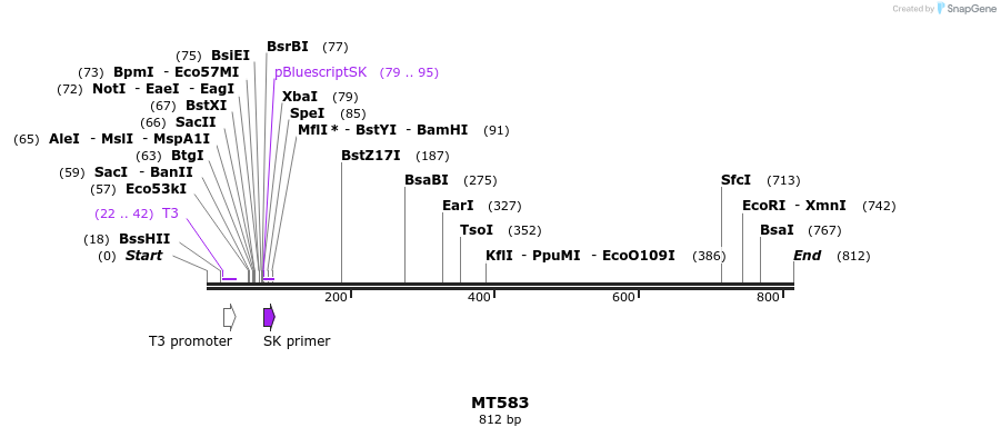 123557_map