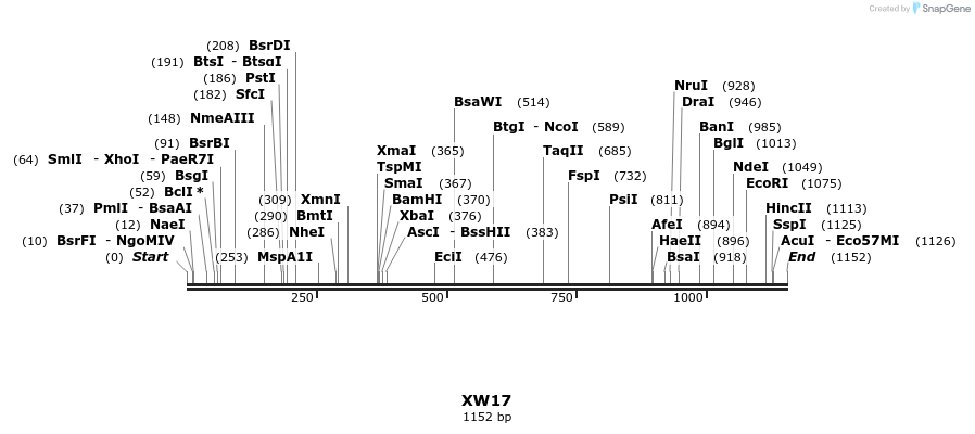 123562_map