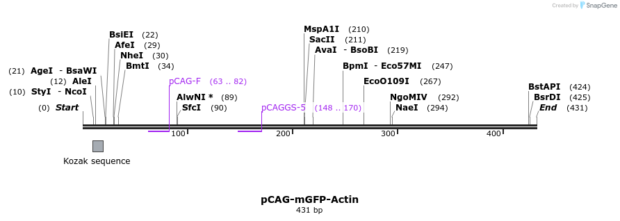 123563_map
