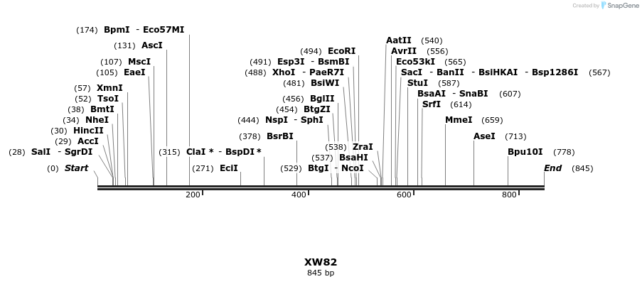 123564_map