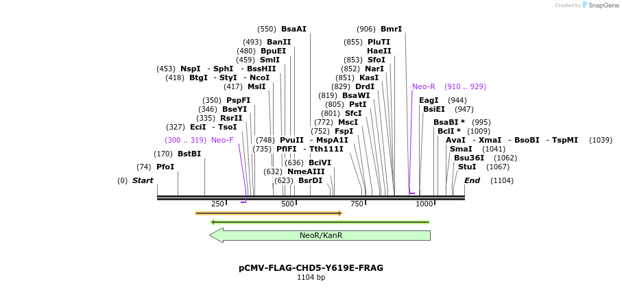 123575_map