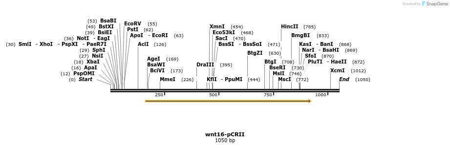 123584_map