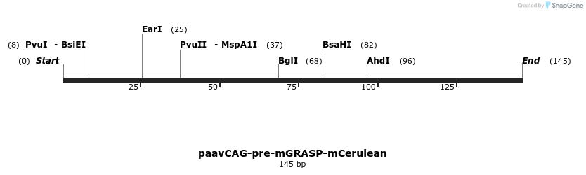 123587_map