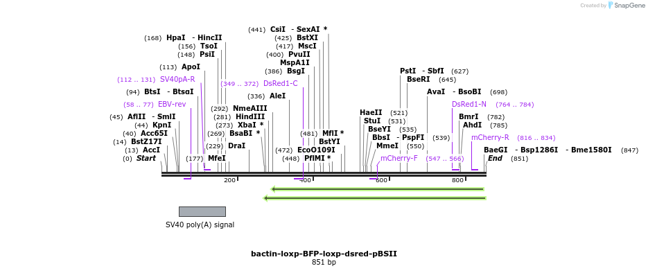 123591_map