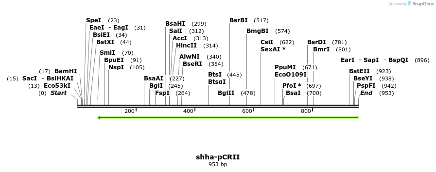 123597_map