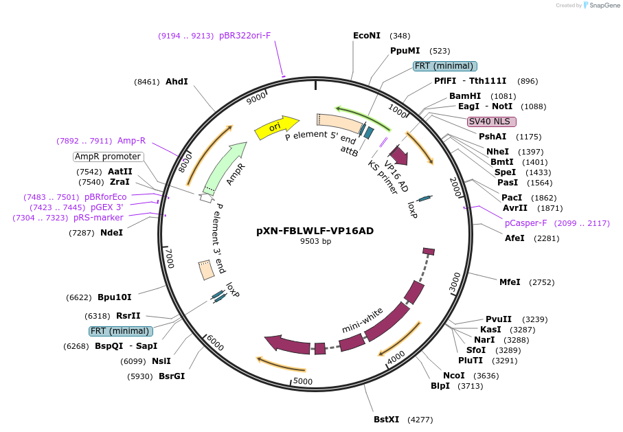 12360_map