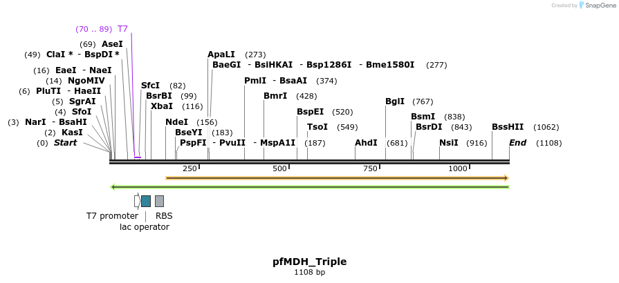 123603_map