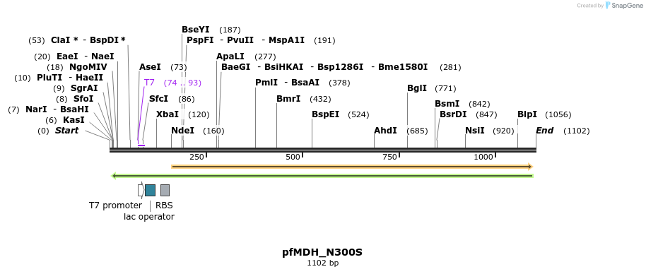 123605_map