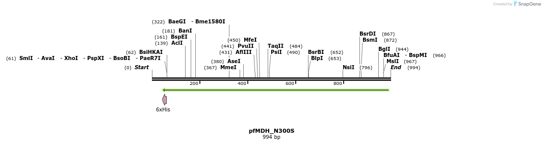 123606_map