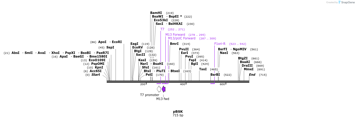 123608_map