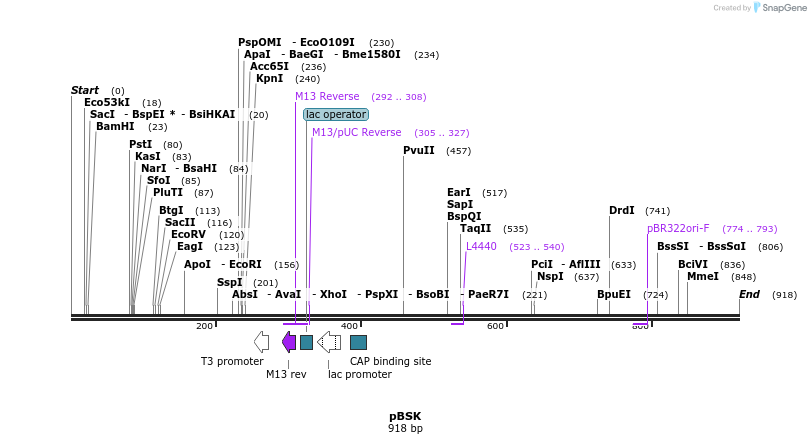 123609_map